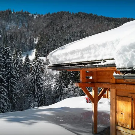 Hollygotty - Ovo Network Chalet *