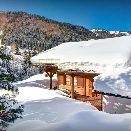 Hollygotty - Ovo Network La Clusaz